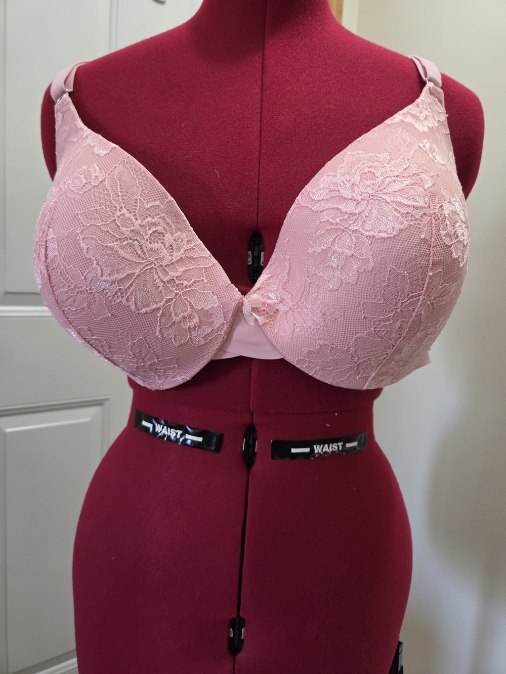 La Vie En Rose Light Pink Lace T-Shirt Bra